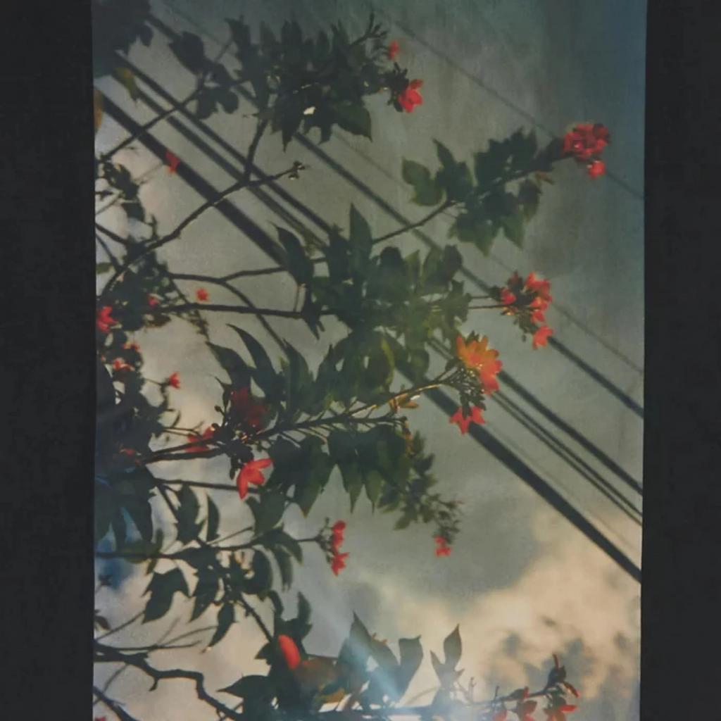 Fear Of God Essentials Photo Series Hoodie