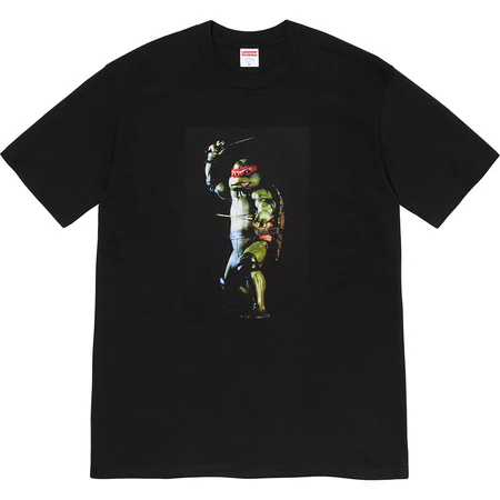 Supreme Raphael Tee